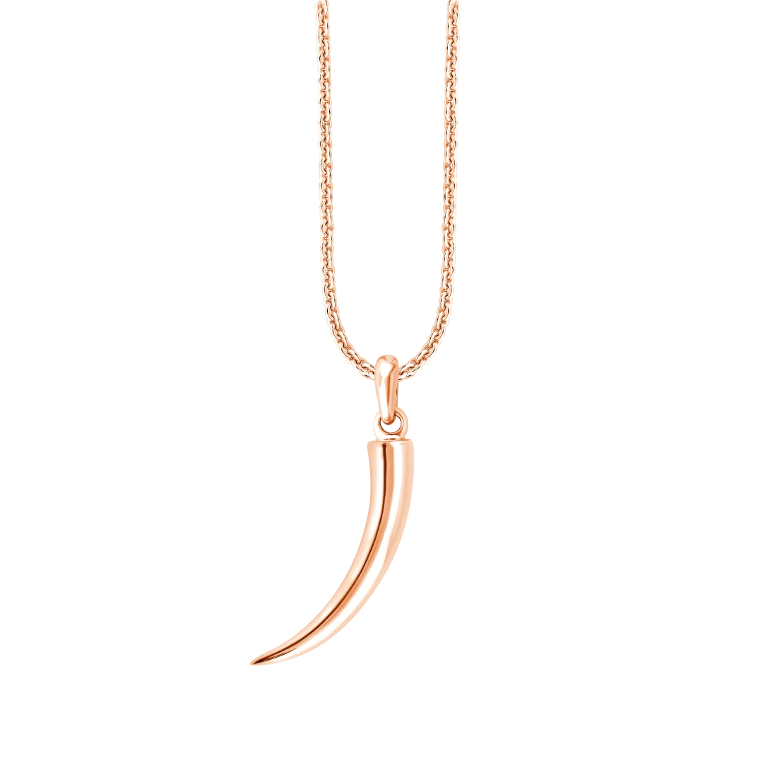 Horn Pendant