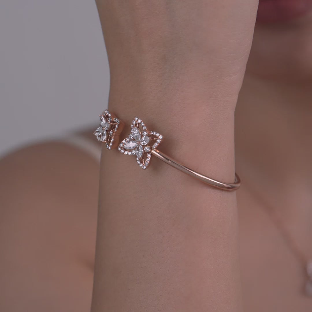 SET-048%20BR%20RDPV.webm